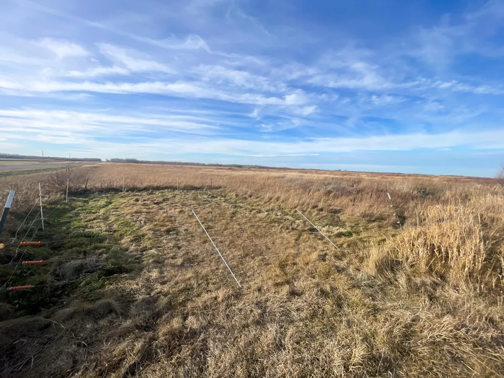 TBD 150th Street NW Thief River Falls, MN 56701