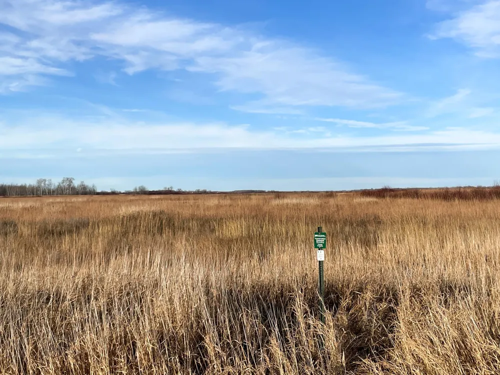 TBD 150th Street NW Thief River Falls, MN 56701