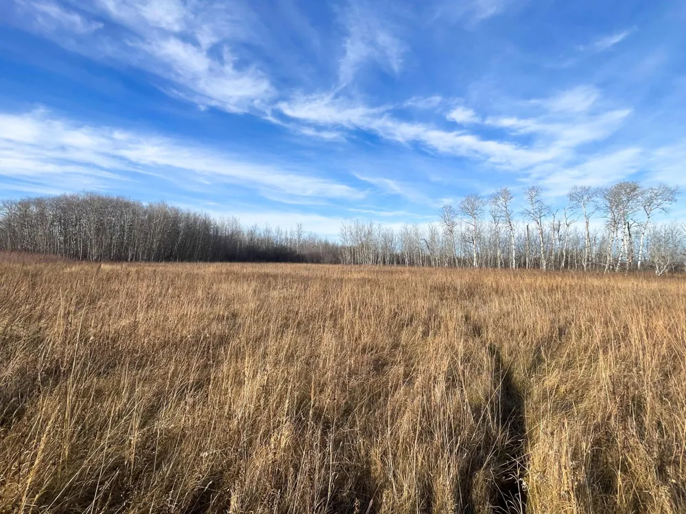 TBD 150th Street NW Thief River Falls, MN 56701
