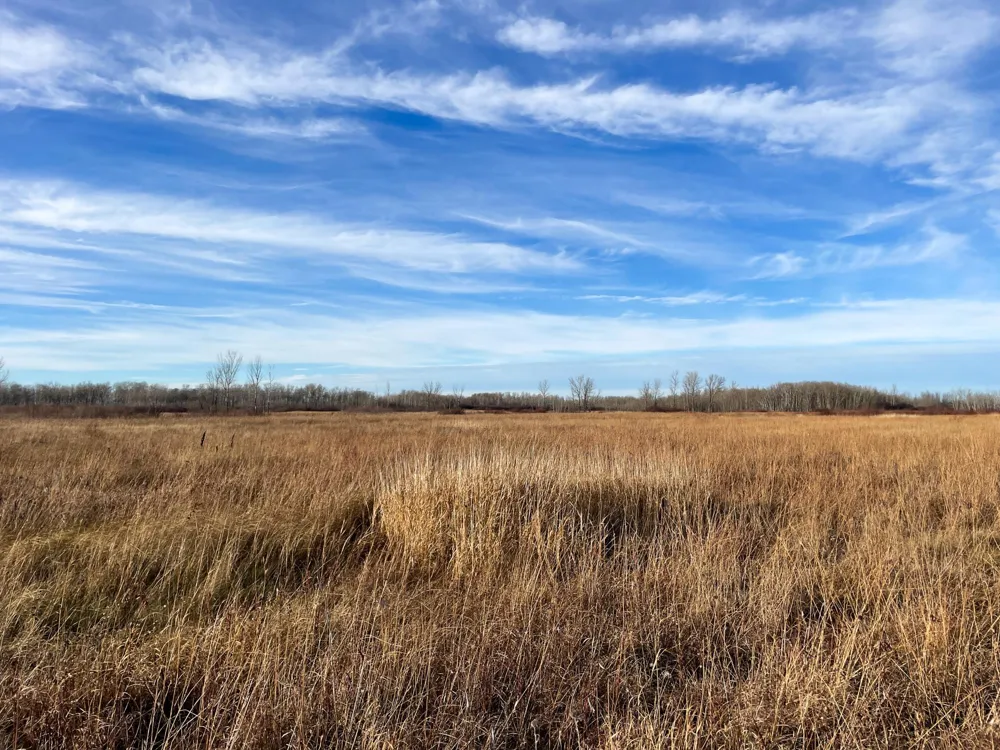 TBD 150th Street NW Thief River Falls, MN 56701