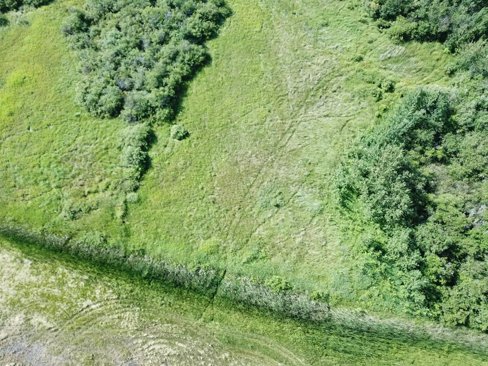 TBD 150th Street NW Thief River Falls, MN 56701