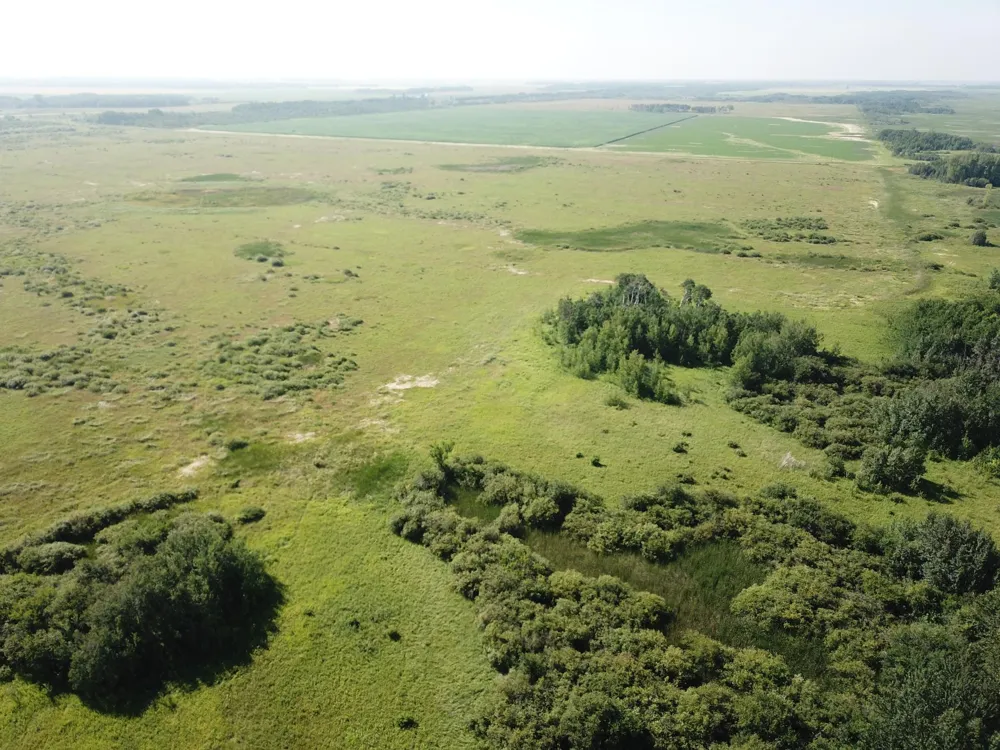 TBD 150th Street NW Thief River Falls, MN 56701