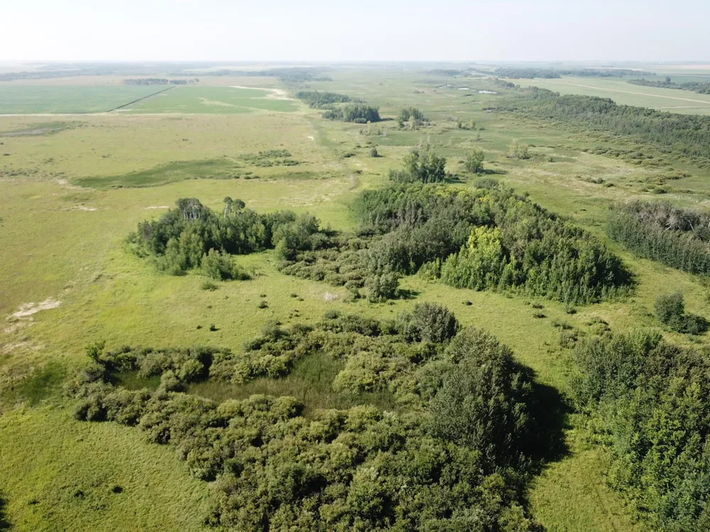 TBD 150th Street NW Thief River Falls, MN 56701
