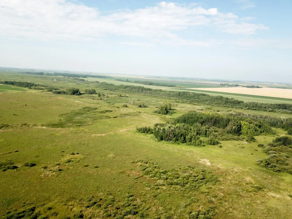 TBD 150th Street NW Thief River Falls, MN 56701