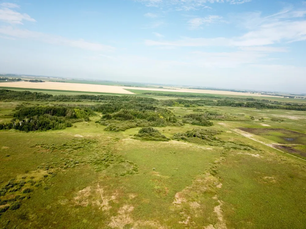 TBD 150th Street NW Thief River Falls, MN 56701