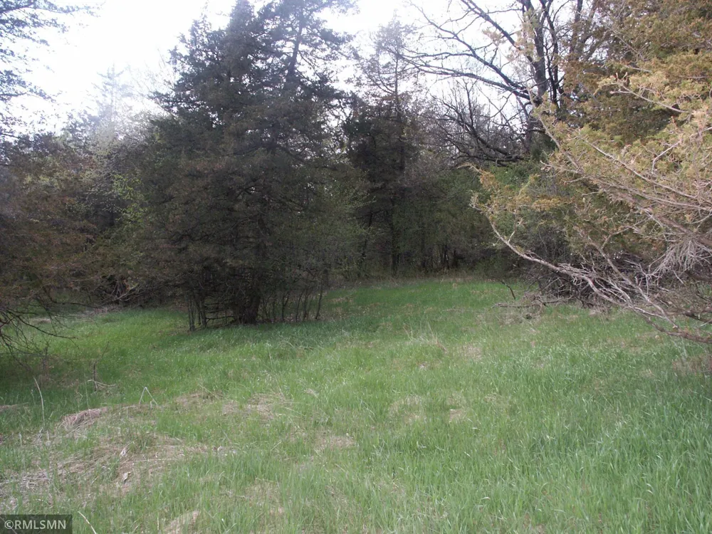 TBD 185 Ave SE Big Lake, MN 55309