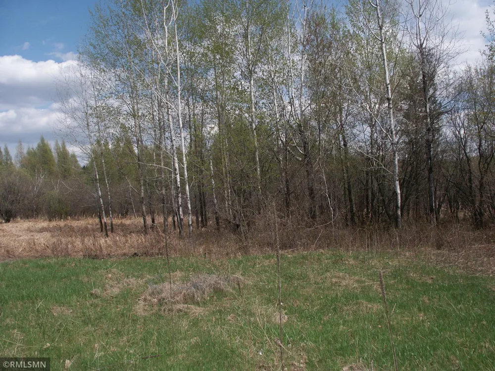 TBD 185 Ave SE Big Lake, MN 55309