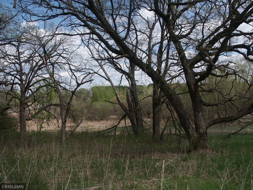 TBD 185 Ave SE Big Lake, MN 55309