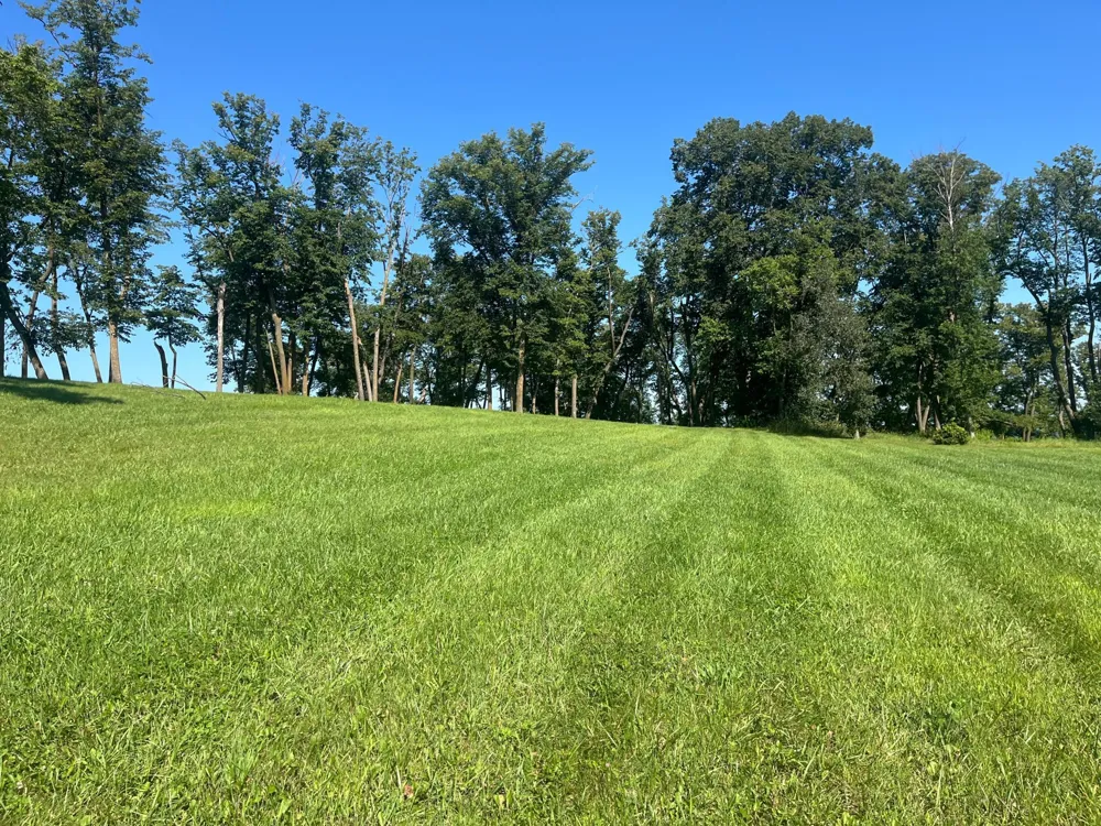 00000 Coleman Rd Clitherall, MN 56524