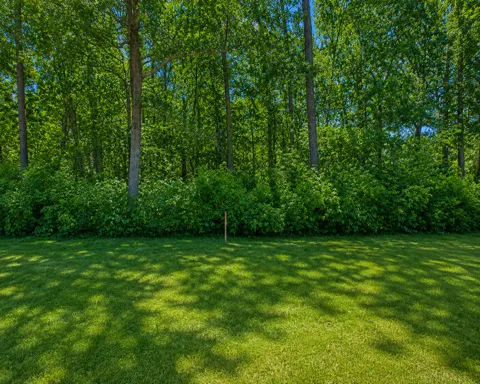 TBD Clearwater Road