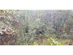 Lot 4 Paulsen Lake Lane Osceola, WI 54020