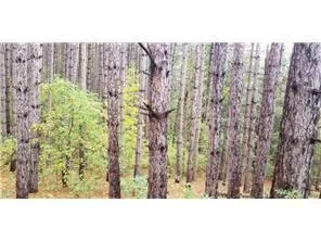 Lot 4 Paulsen Lake Lane Osceola, WI 54020