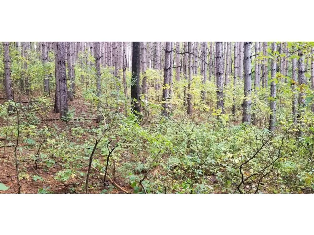 Lot 4 Paulsen Lake Lane Osceola, WI 54020