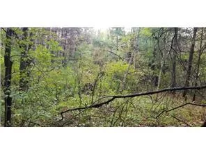 Lot 3 Paulsen Lake Lane Osceola, WI 54020