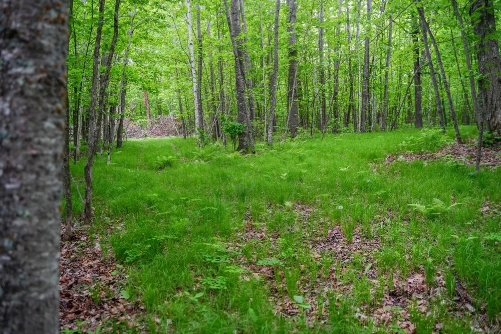 TBD- 315th Avenue Laporte, MN 56461