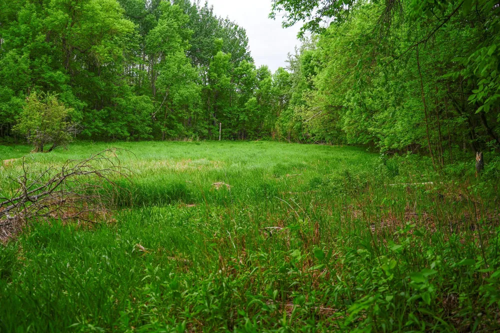 TBD- 315th Avenue Laporte, MN 56461