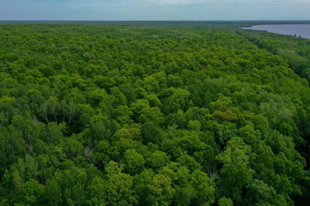 TBD- 315th Avenue Laporte, MN 56461
