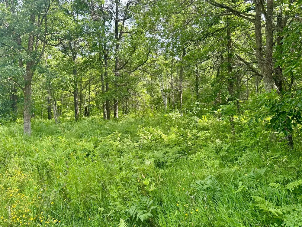 Lot 2 Blk 1 Eagle Drive NW Walker, MN 56484