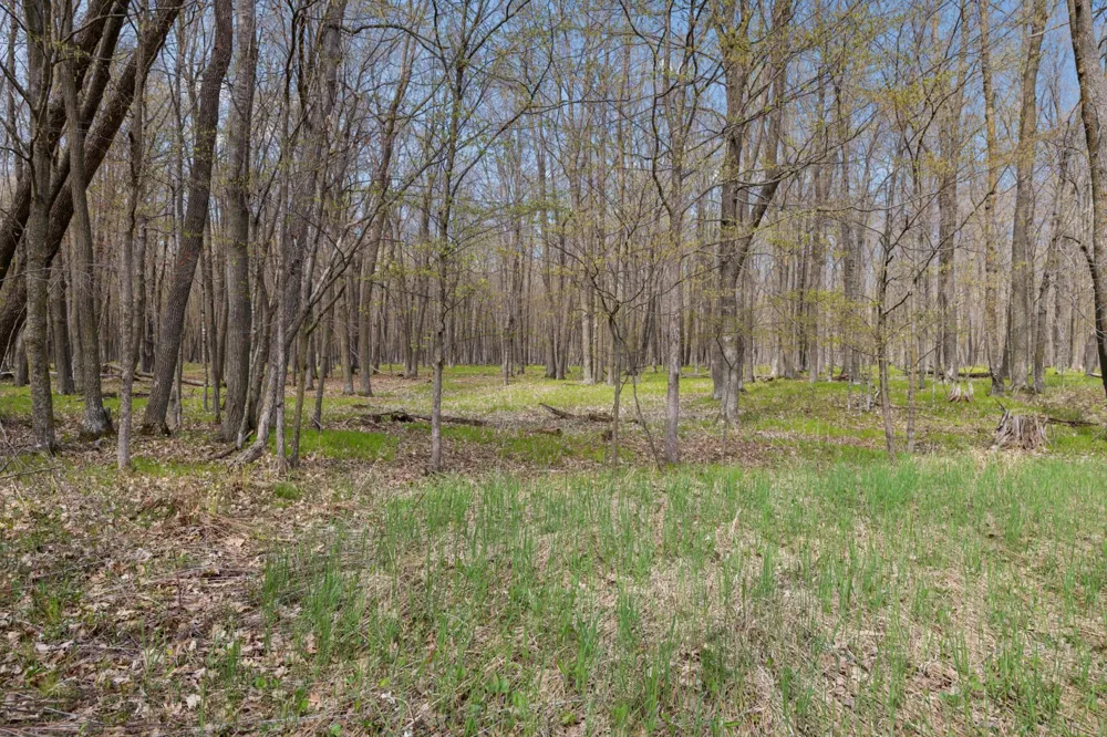 316 Wennerberg Shore Drive Shell Lake, WI 54871