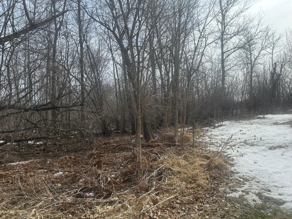 TBD TBD Hill City, MN 55748