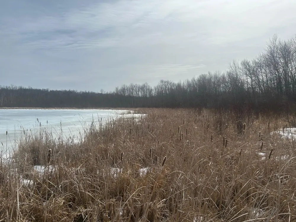 TBD TBD Hill City, MN 55748