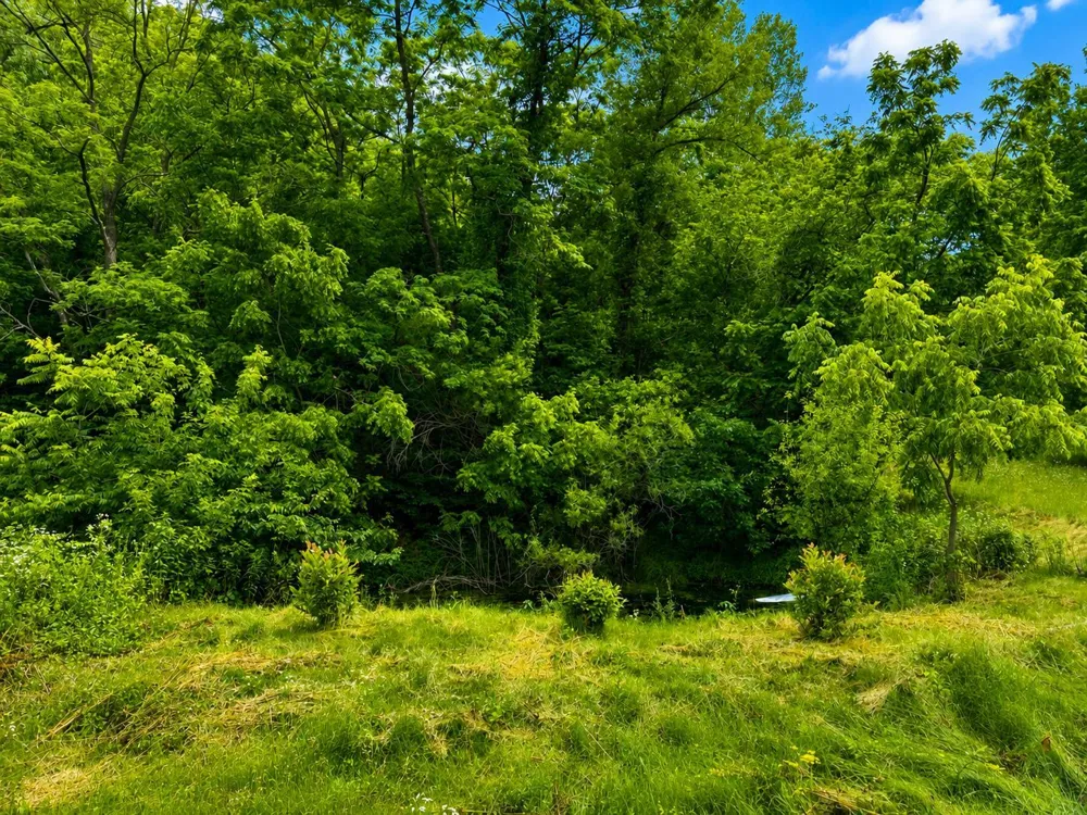 24345 E Burns Valley Road Winona, MN 55987