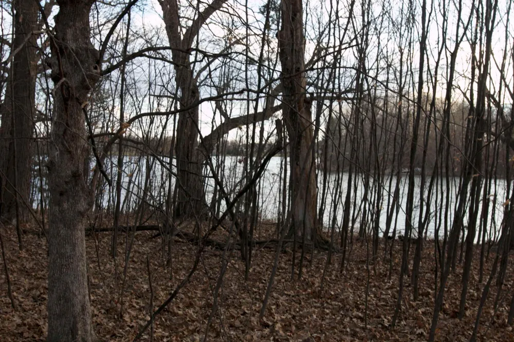 981 Peninsula Point Road Shakopee, MN 55379