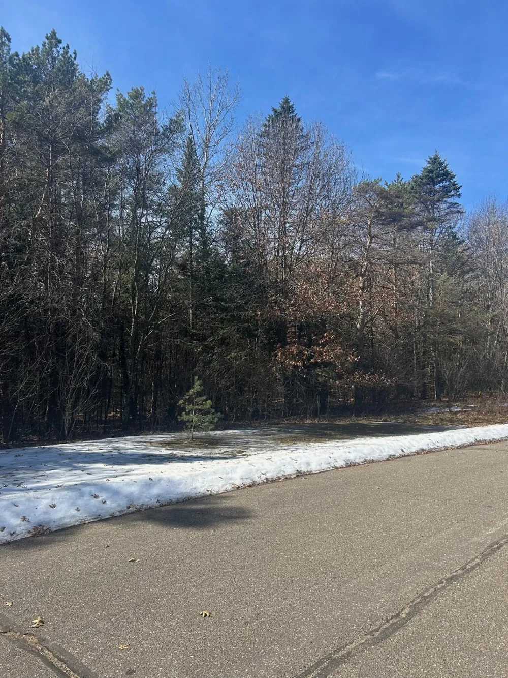 13141 287th Avenue NW Zimmerman, MN 55398