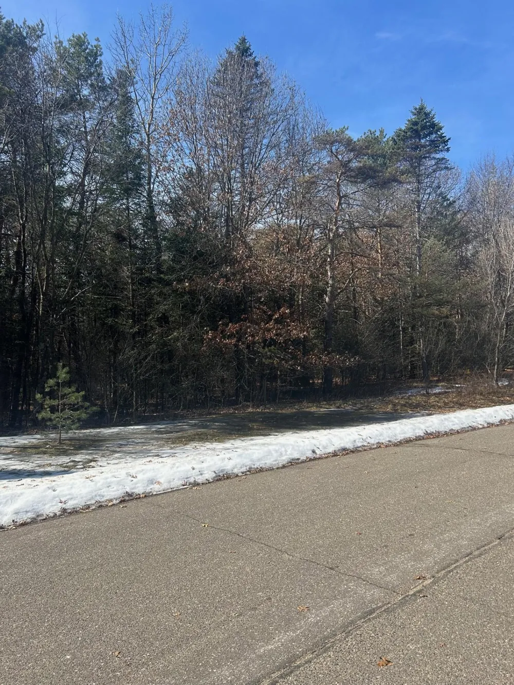 13141 287th Avenue NW Zimmerman, MN 55398