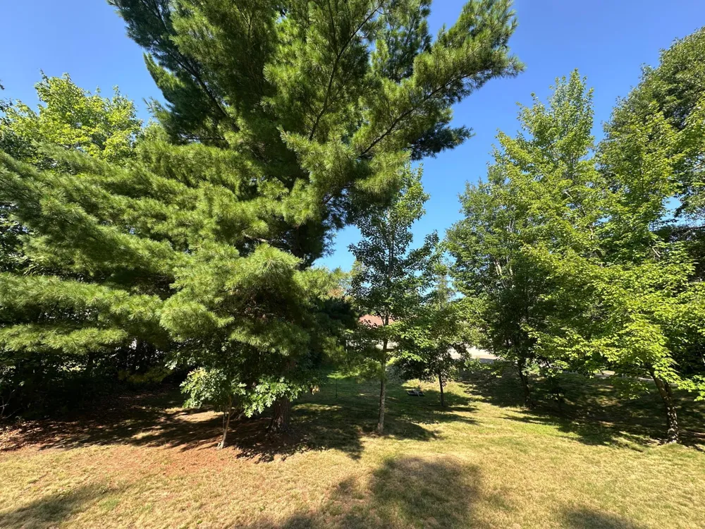 31643 Harvest Road Breezy Point, MN 56472
