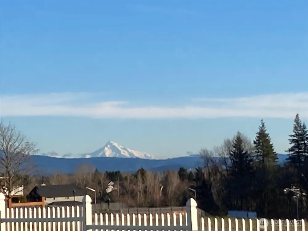 2032 W Dove Avenue La Center, WA 98629