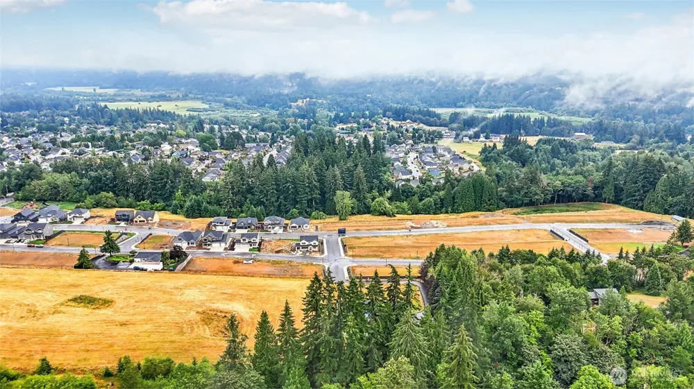 2032 W Dove Avenue La Center, WA 98629
