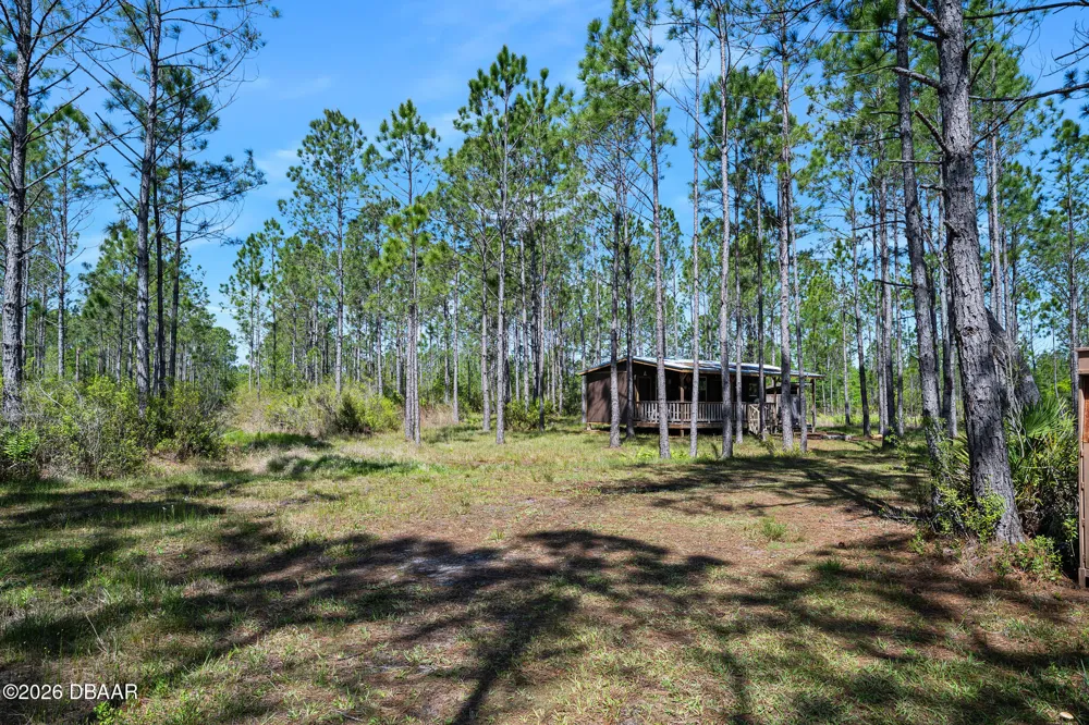 Carter Street Bunnell, FL 32110