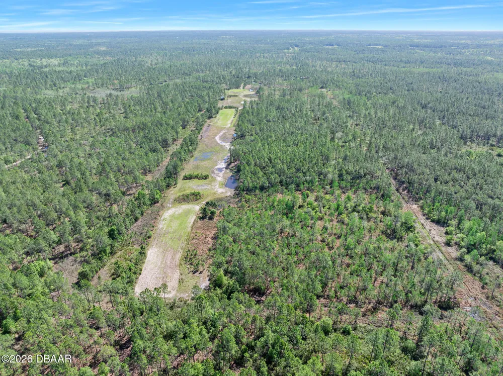 Carter Street Bunnell, FL 32110
