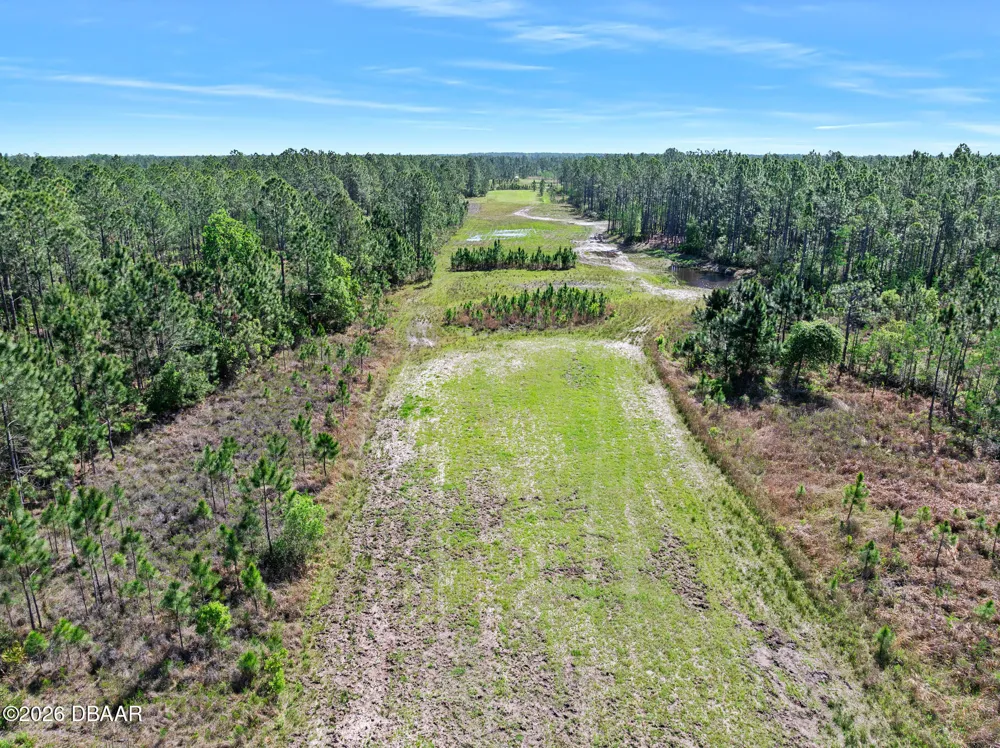 Carter Street Bunnell, FL 32110