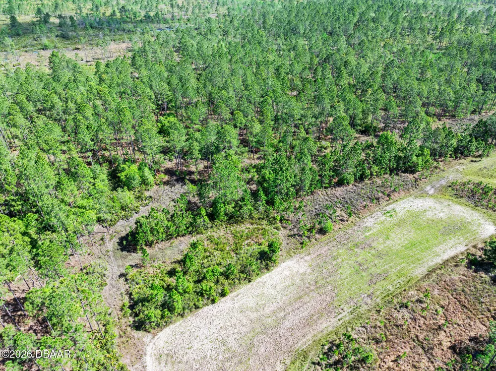 Carter Street Bunnell, FL 32110