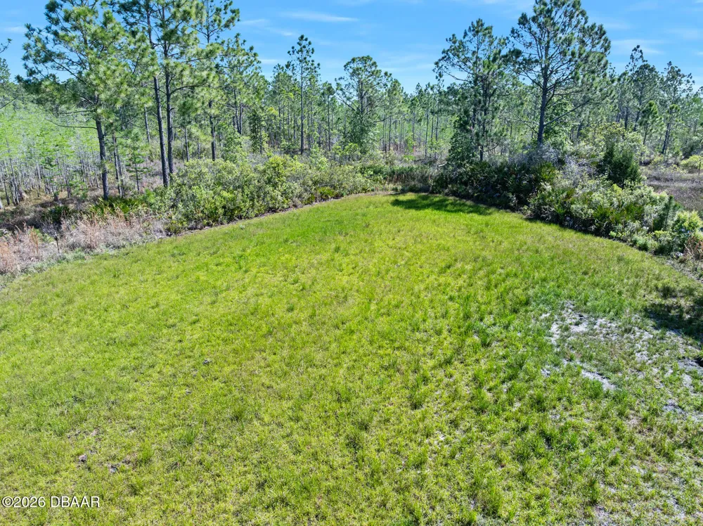 Carter Street Bunnell, FL 32110