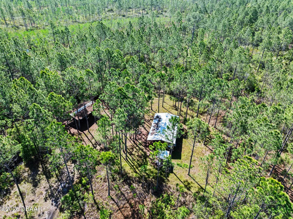 Carter Street Bunnell, FL 32110
