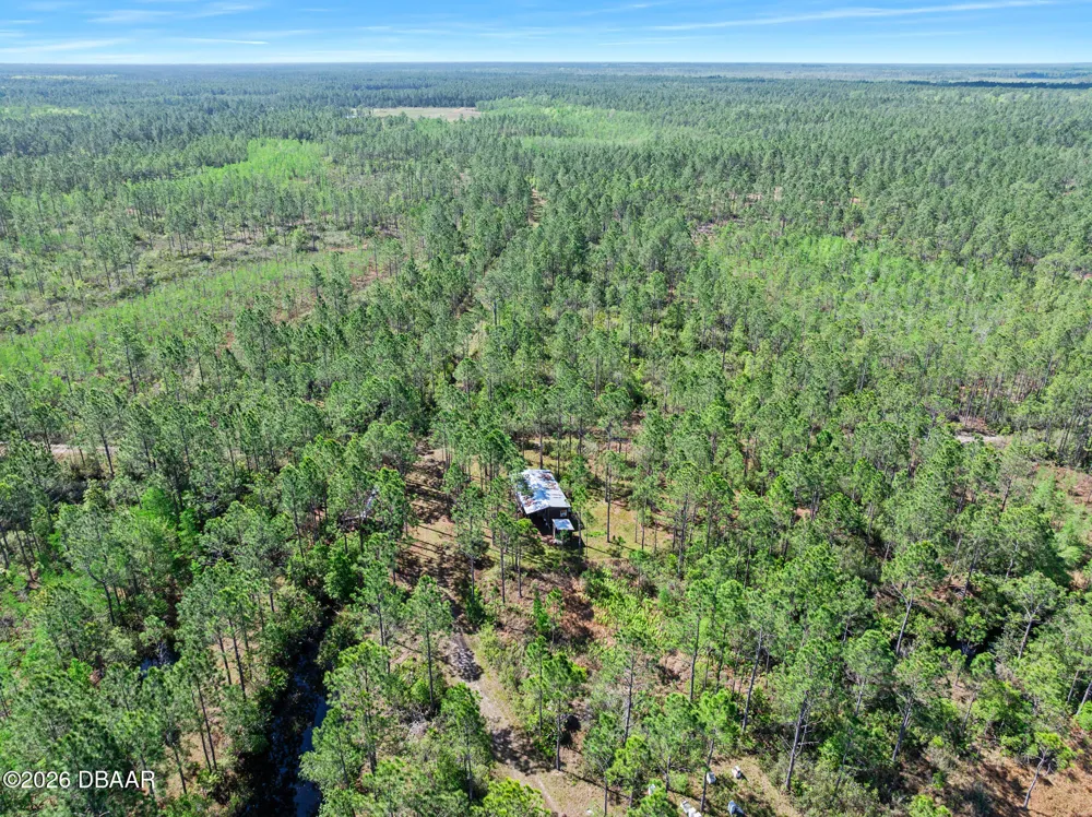 Carter Street Bunnell, FL 32110