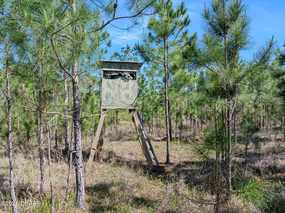 Carter Street Bunnell, FL 32110
