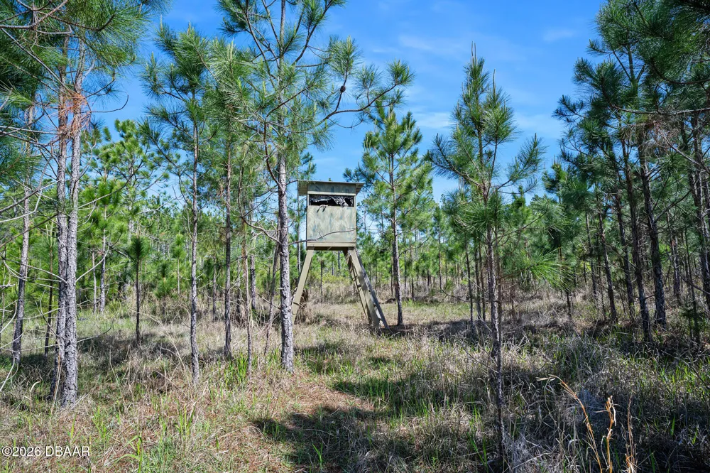 Carter Street Bunnell, FL 32110