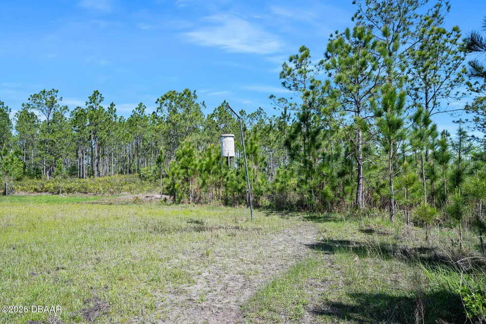 Carter Street Bunnell, FL 32110