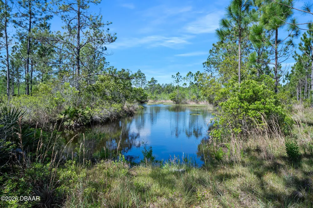 Carter Street Bunnell, FL 32110