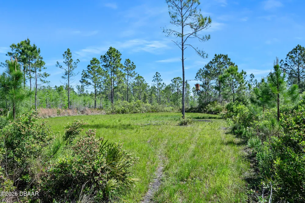 Carter Street Bunnell, FL 32110