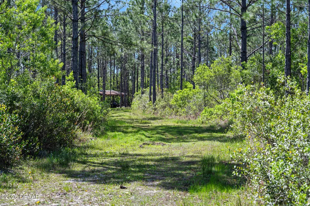 Carter Street Bunnell, FL 32110