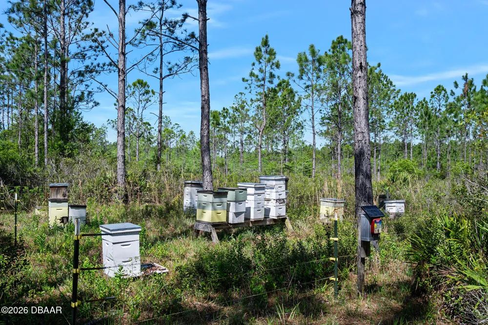 Carter Street Bunnell, FL 32110