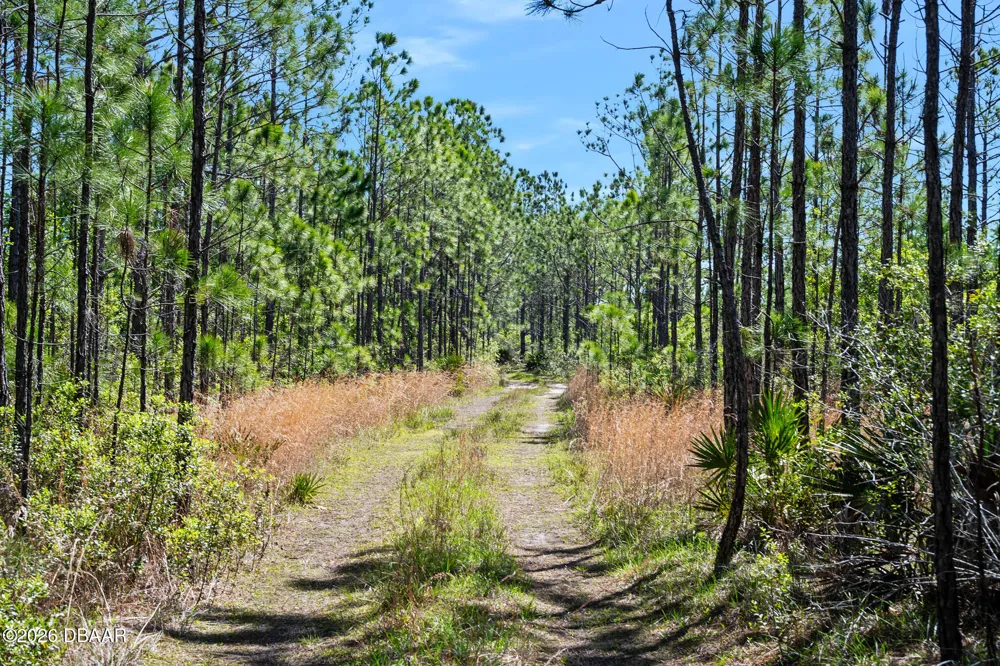 Carter Street Bunnell, FL 32110
