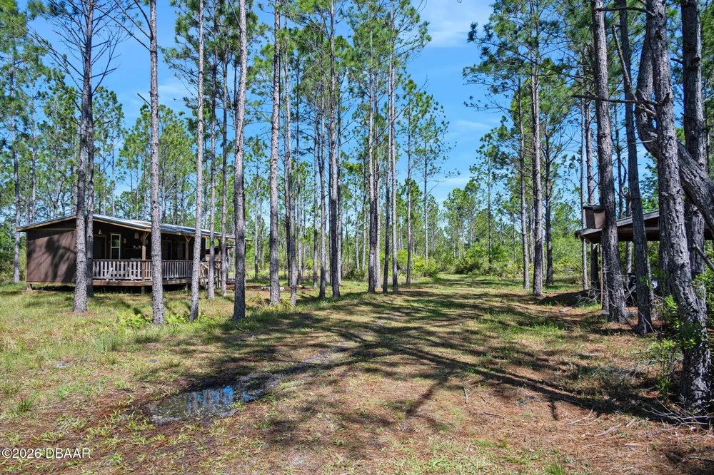 Carter Street Bunnell, FL 32110