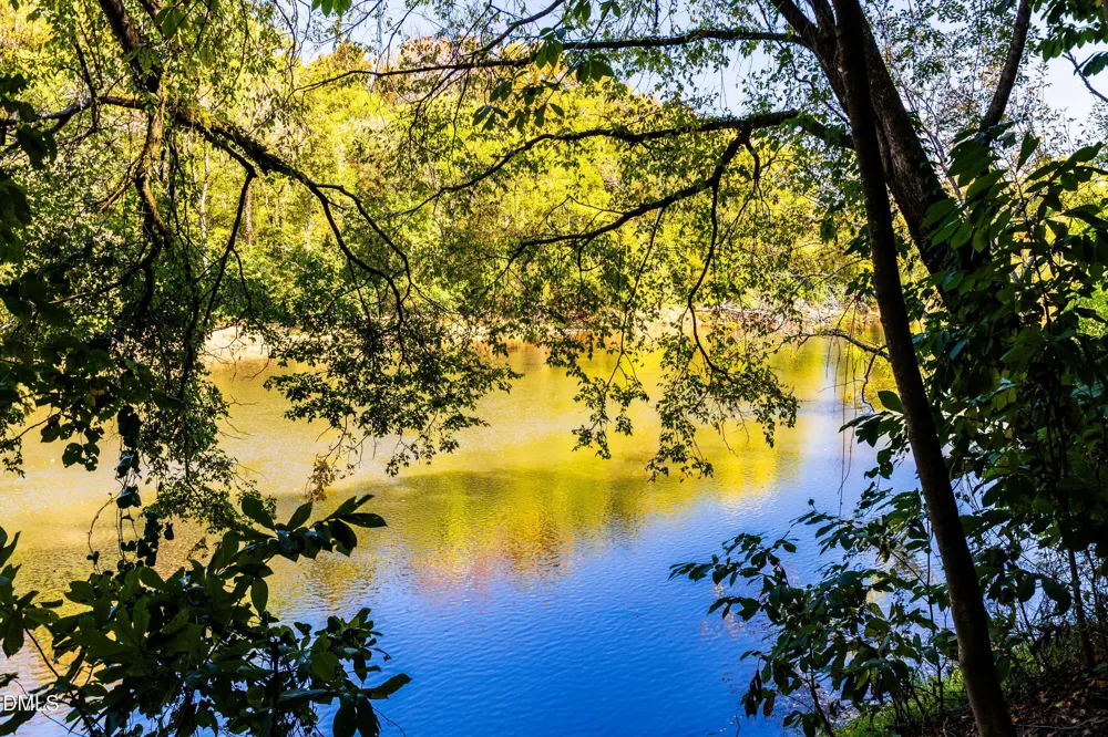20 Serpens Drive #223 Angier, NC 27501