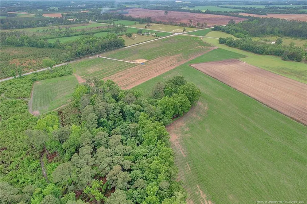 Lot 9 Buie Philadelphus Road Red Springs, NC 28377
